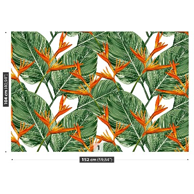 Papel de parede Strelitzia reginae
