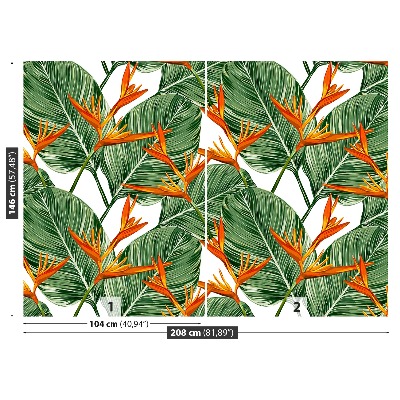 Papel de parede Strelitzia reginae