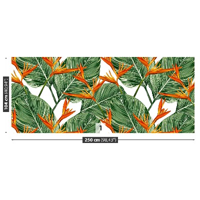Papel de parede Strelitzia reginae