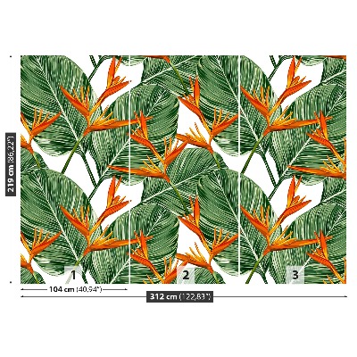 Papel de parede Strelitzia reginae