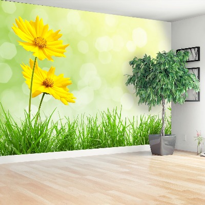 Papel de parede Flores amarelas