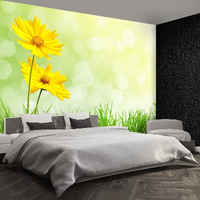 Papel de parede Flores amarelas