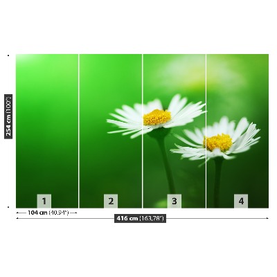 Mural de parede Margaridas brancas