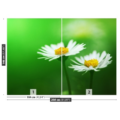 Mural de parede Margaridas brancas