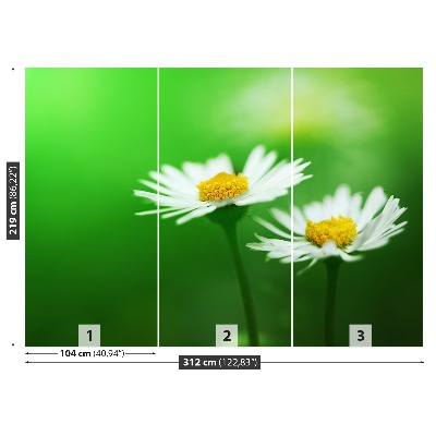 Mural de parede Margaridas brancas