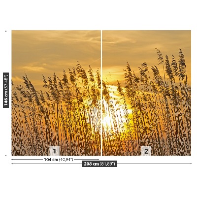 Papel de parede Campo de junco