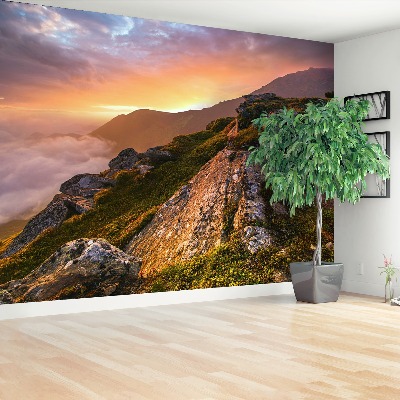 Mural de parede Montanhas dos Cárpatos