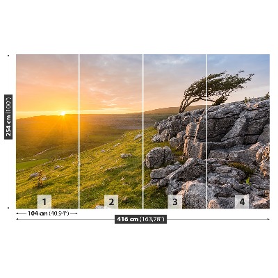 Mural de parede Pôr do sol