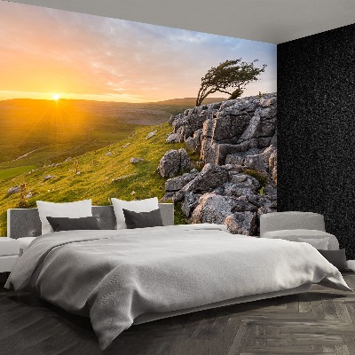 Mural de parede Pôr do sol