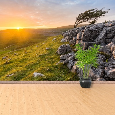 Mural de parede Pôr do sol