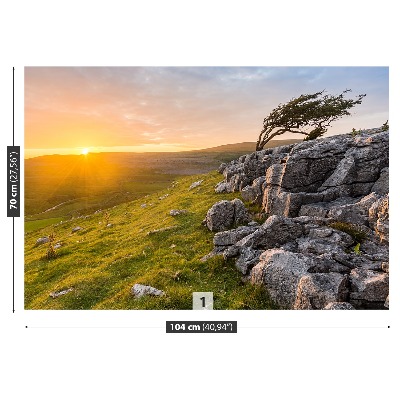 Mural de parede Pôr do sol