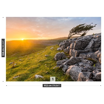 Mural de parede Pôr do sol