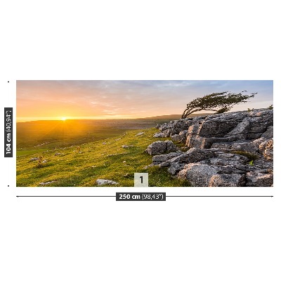 Mural de parede Pôr do sol