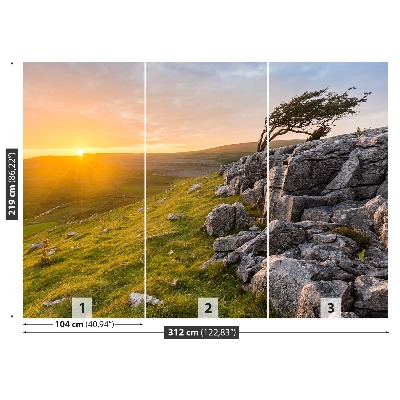 Mural de parede Pôr do sol