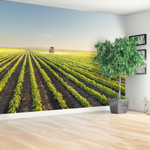 Mural de parede Campo