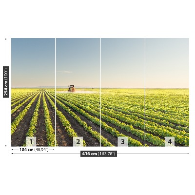 Mural de parede Campo