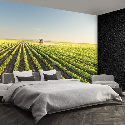 Mural de parede Campo