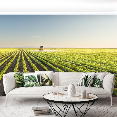 Mural de parede Campo