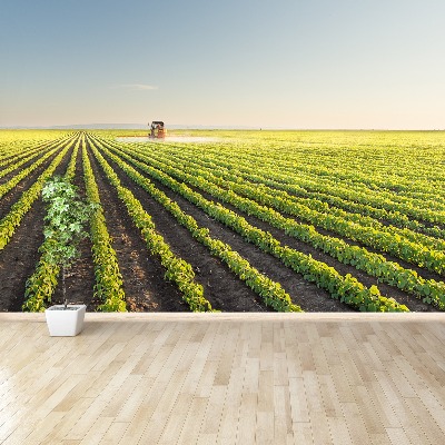 Mural de parede Campo