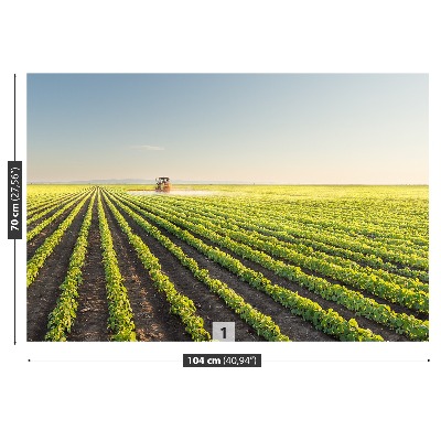 Mural de parede Campo