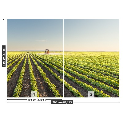 Mural de parede Campo