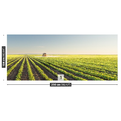 Mural de parede Campo