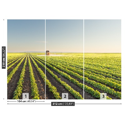 Mural de parede Campo