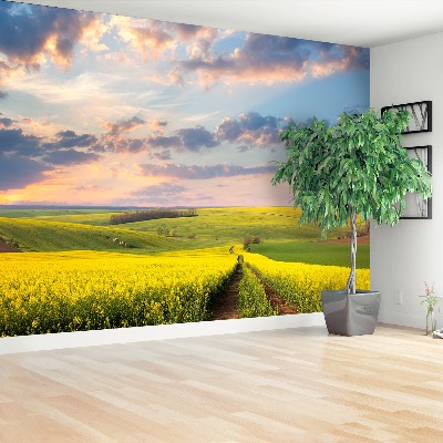 Papel de parede Campos em Flor