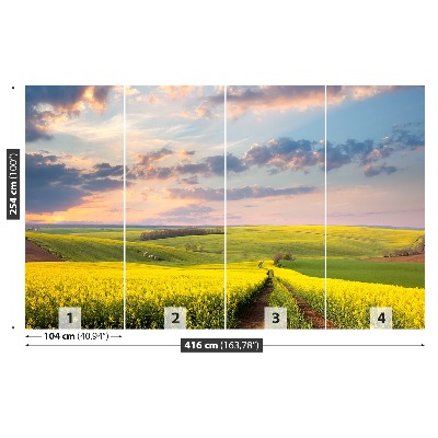 Papel de parede Campos em Flor