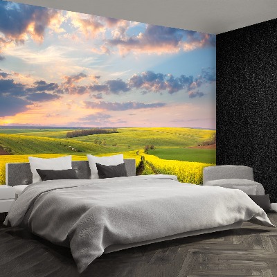 Papel de parede Campos em Flor