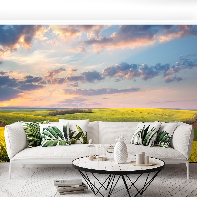 Papel de parede Campos em Flor