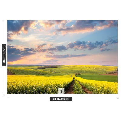 Papel de parede Campos em Flor