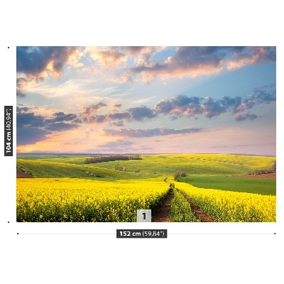 Papel de parede Campos em Flor