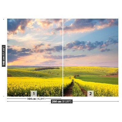 Papel de parede Campos em Flor