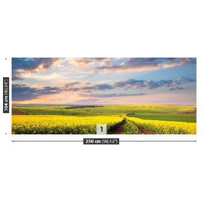 Papel de parede Campos em Flor