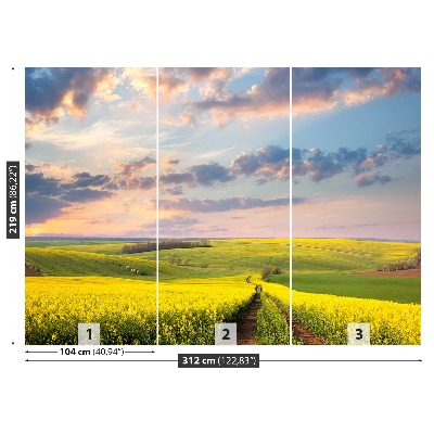 Papel de parede Campos em Flor