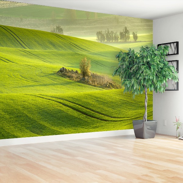 Mural de parede Campo de milho