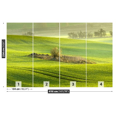 Mural de parede Campo de milho