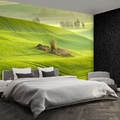 Mural de parede Campo de milho