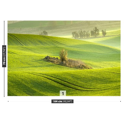 Mural de parede Campo de milho