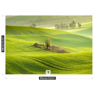 Mural de parede Campo de milho