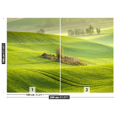 Mural de parede Campo de milho