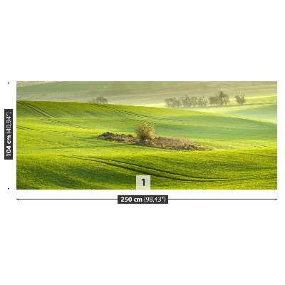 Mural de parede Campo de milho