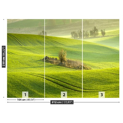 Mural de parede Campo de milho