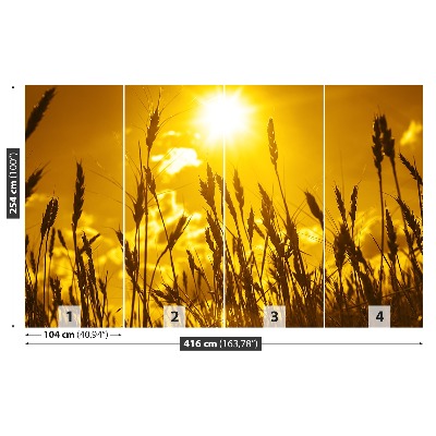 Papel de parede Campo de trigo