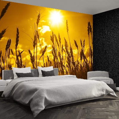 Papel de parede Campo de trigo