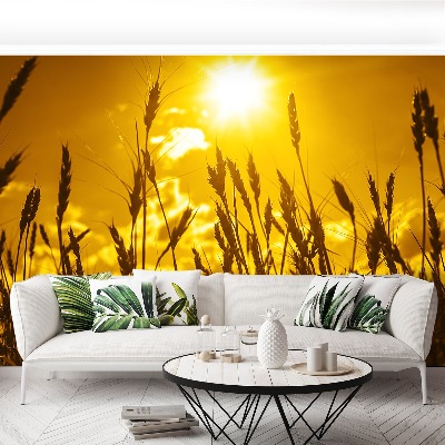 Papel de parede Campo de trigo