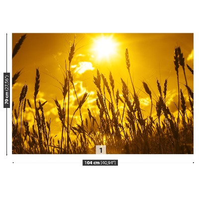 Papel de parede Campo de trigo