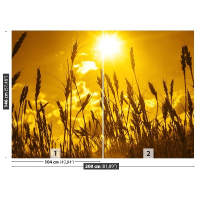 Papel de parede Campo de trigo