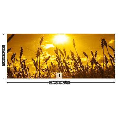 Papel de parede Campo de trigo